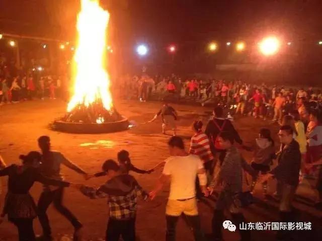 临沂国际影视城第八届板栗文化节,免费板栗等你捡