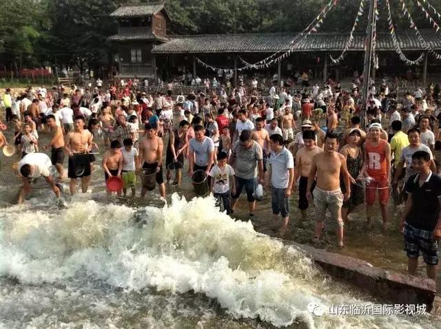 临沂国际影视城第八届板栗文化节,免费板栗等你捡