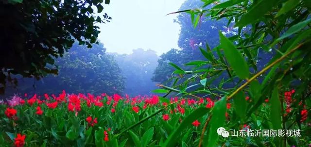 临沂国际影视城第八届板栗文化节,免费板栗等你捡
