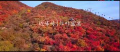 坡峰岭最佳观赏路线：打卡不容错过的六大绝美红叶胜景