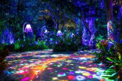 动物世界增加夜游环节+园区软硬件大升级 广州长隆打造2020旅游体验新标杆