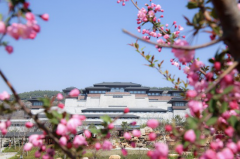 春游踏青第一站，尼山圣境杏花节、游园会，打卡春天