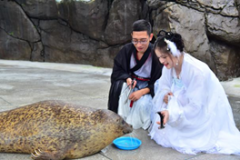 成都海昌极地海洋公园国庆上演海底升旗限定秀
