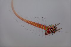 金佛山首届高山风筝祈福文化节正式开幕，在海拔2230米的高山赏“筝”奇斗艳