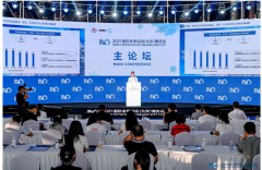 2021国际冬季运动（北京）博览会 雪都阿勒泰精彩粉呈 圈粉无数